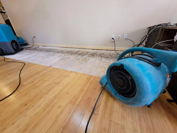 Professional Water Damage Repair technician working in Thornton, NH